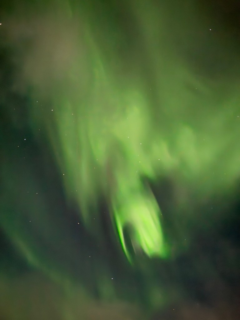 5 días en Laponia –&nbsp;Tromsø